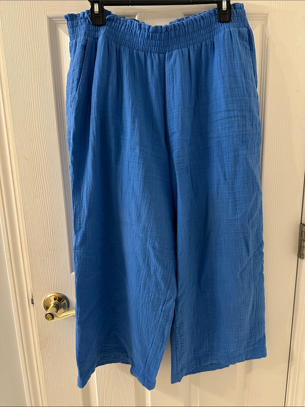 Market & Spruce Wide Leg Pants in Bright Blue